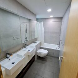 Eight Riversuites (D12), Condominium #428404521